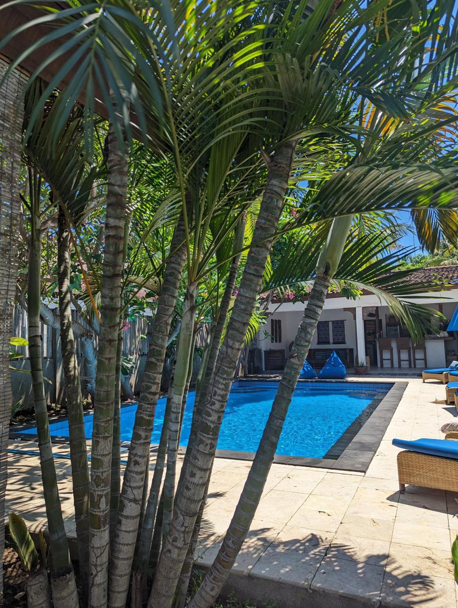 Indigo Bungalows Τζίλι Τραγουανγκάν Εξωτερικό φωτογραφία