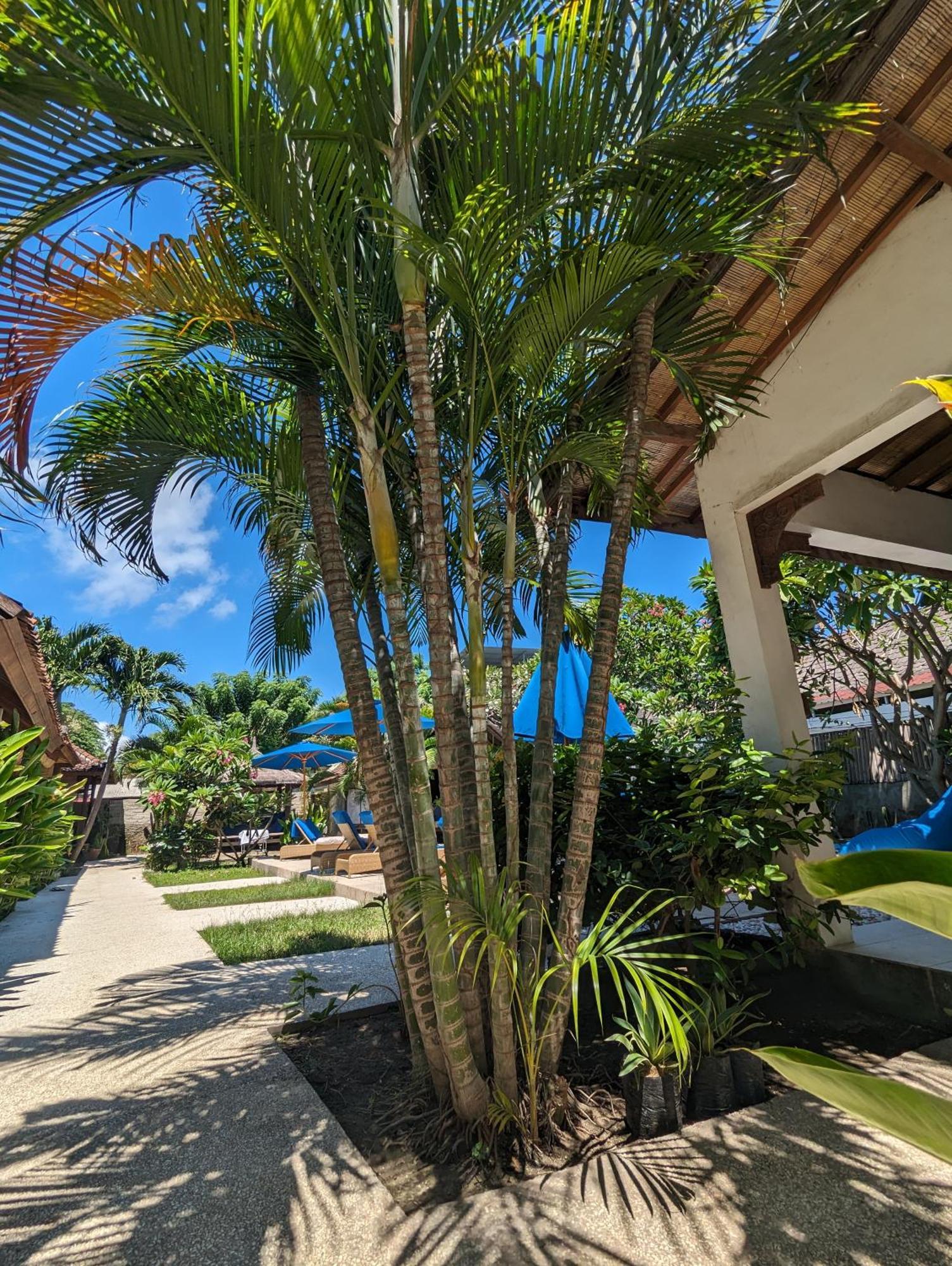 Indigo Bungalows Τζίλι Τραγουανγκάν Εξωτερικό φωτογραφία
