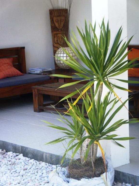 Indigo Bungalows Τζίλι Τραγουανγκάν Εξωτερικό φωτογραφία