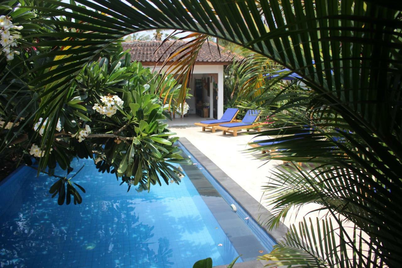 Indigo Bungalows Τζίλι Τραγουανγκάν Εξωτερικό φωτογραφία